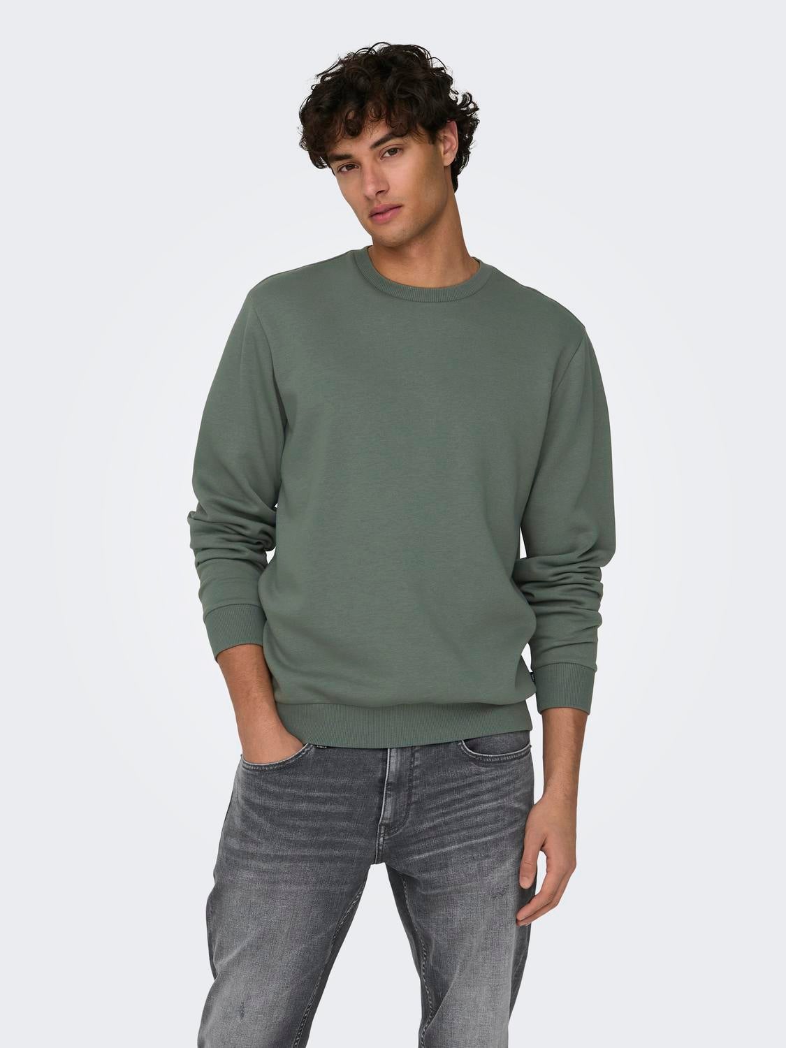 Regular Fit O-Neck Sweatshirt