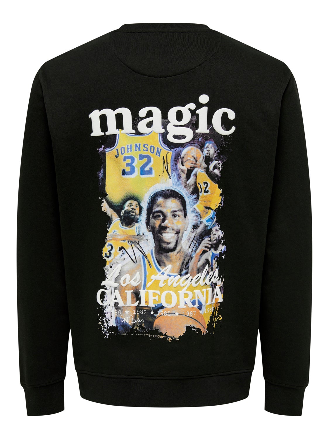 Regular Fit Crew neck Sweatshirt