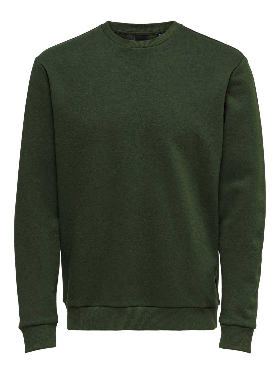 Regular Fit O-Neck Sweatshirt