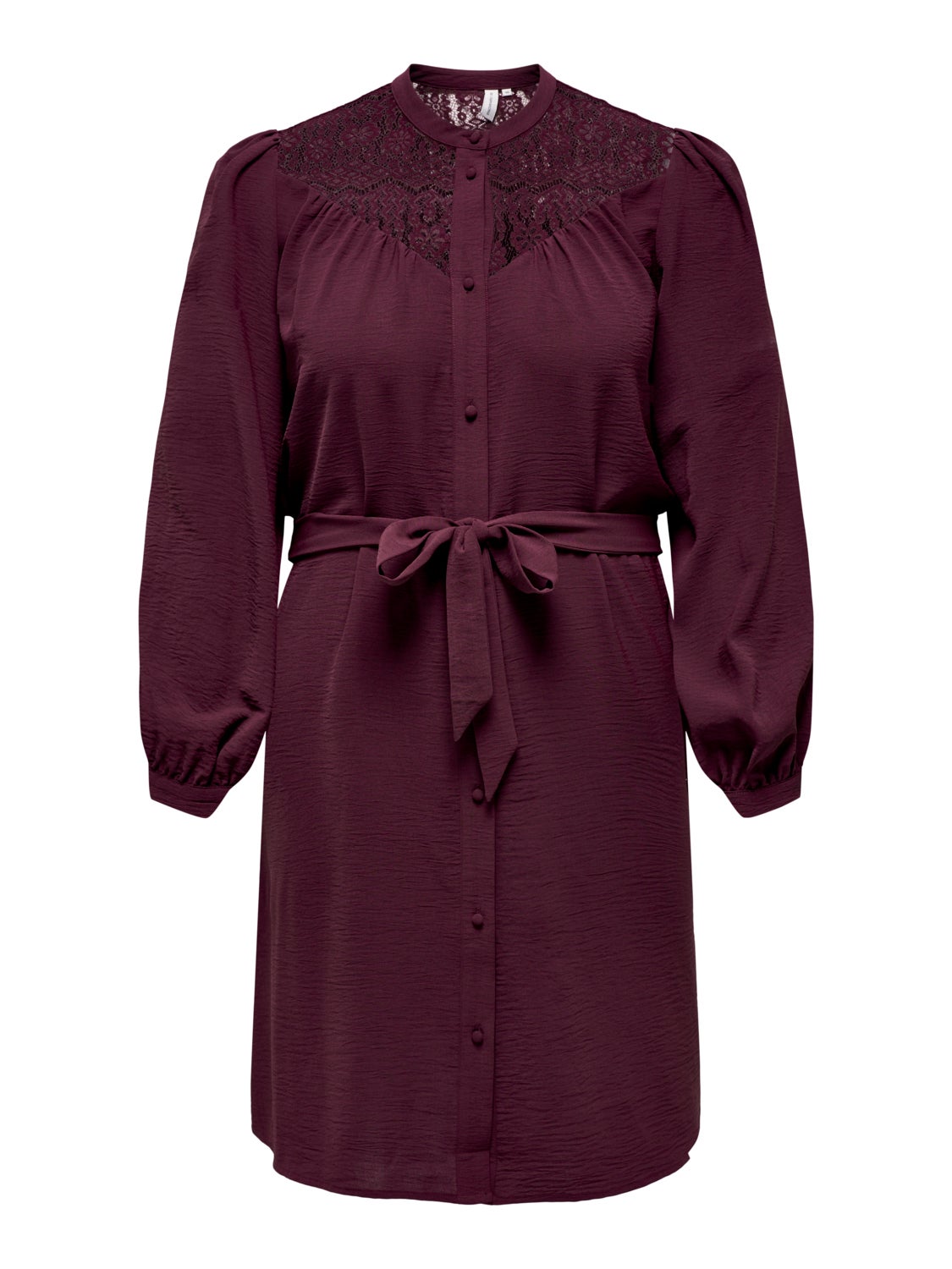 Curvy mini dress with lace