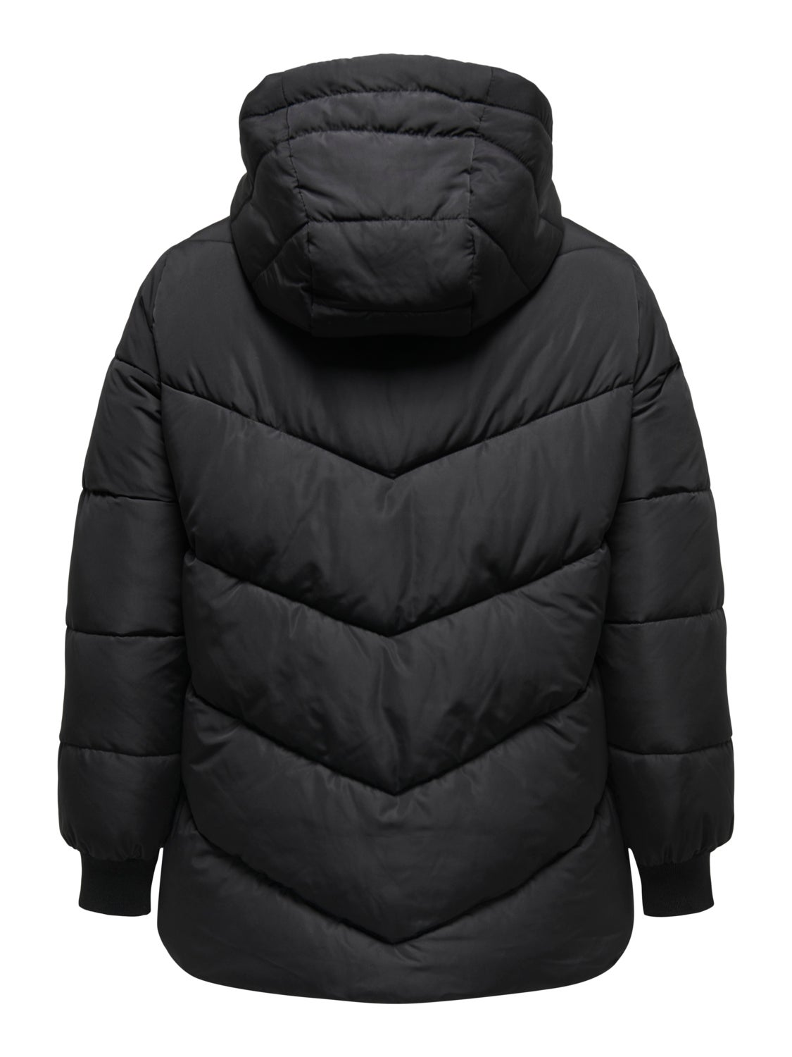 curvy Puffer jacket with hood