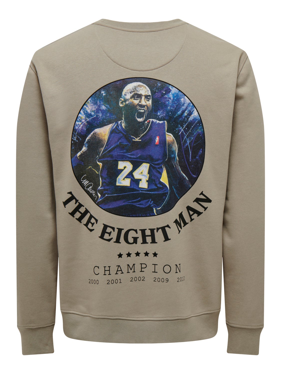 Regular Fit Crew neck Sweatshirt