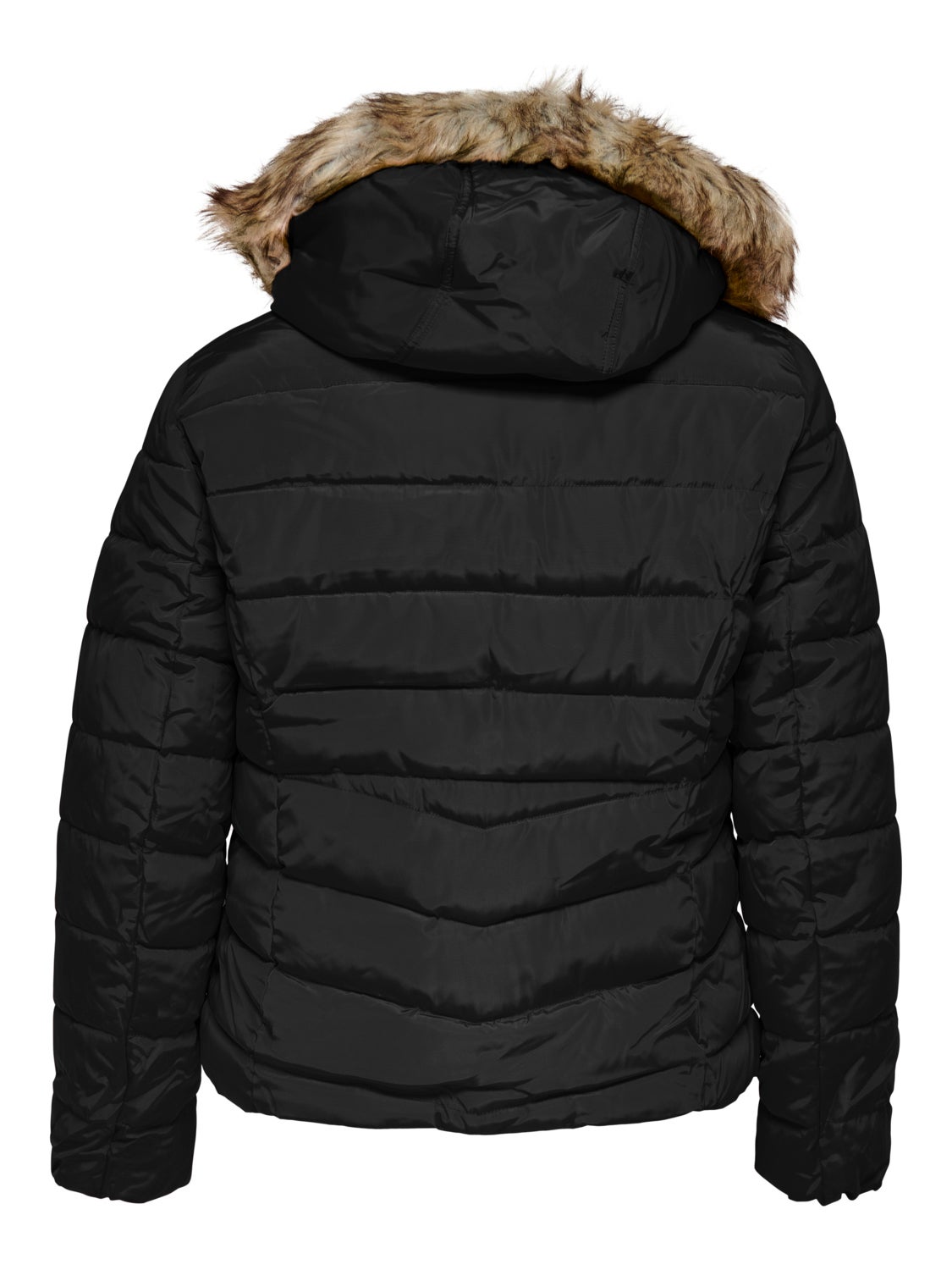 Curvy quilted hood Jacket