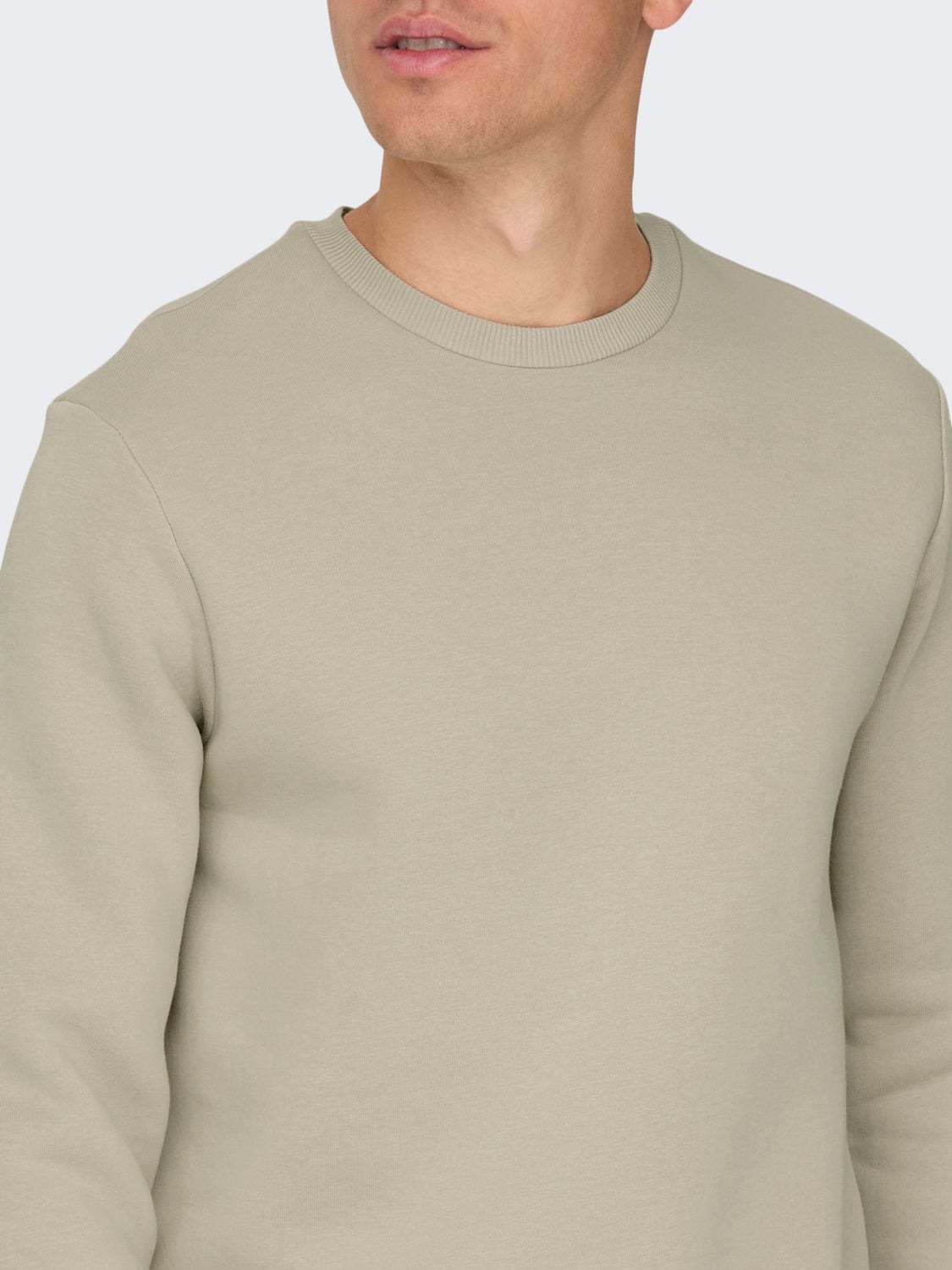 Regular Fit O-Neck Sweatshirt