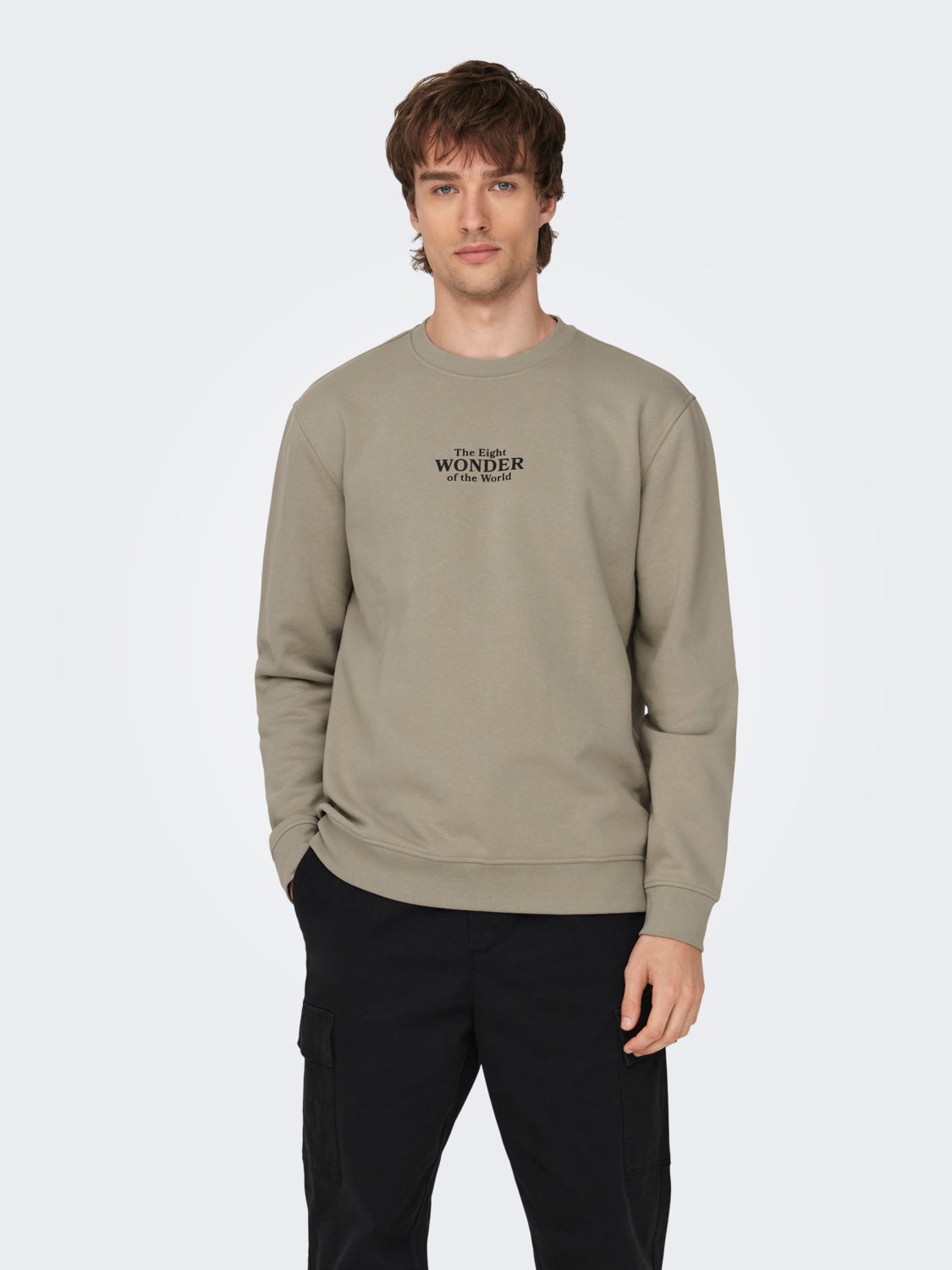 Regular Fit Crew neck Sweatshirt