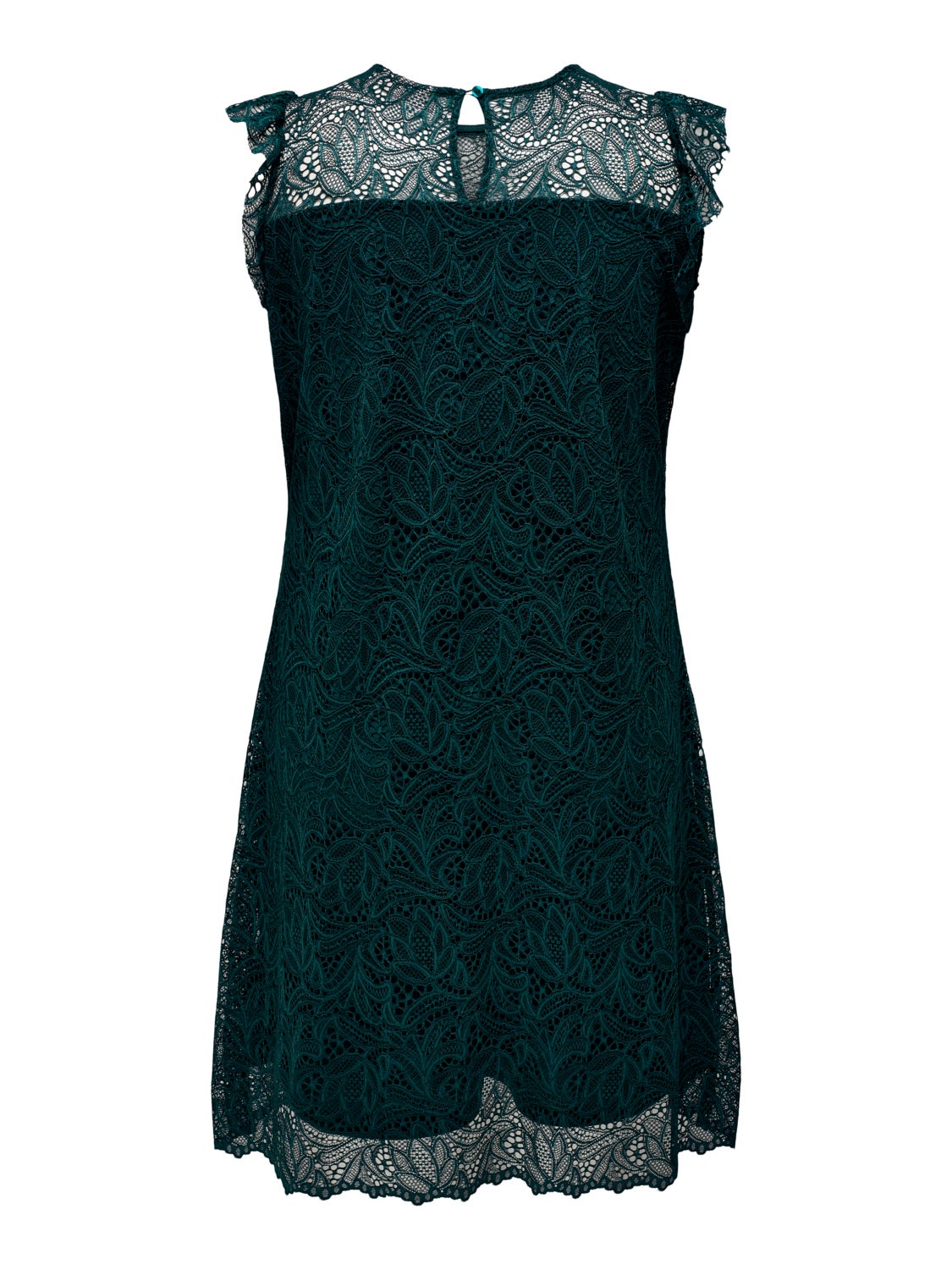 Curvy lace detail dress