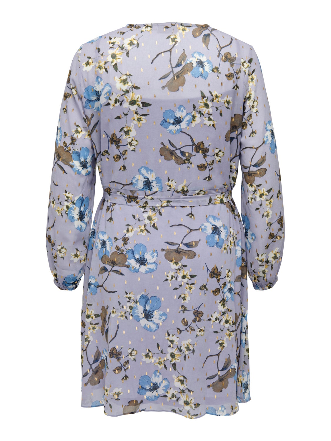 Curvy printed layered dress