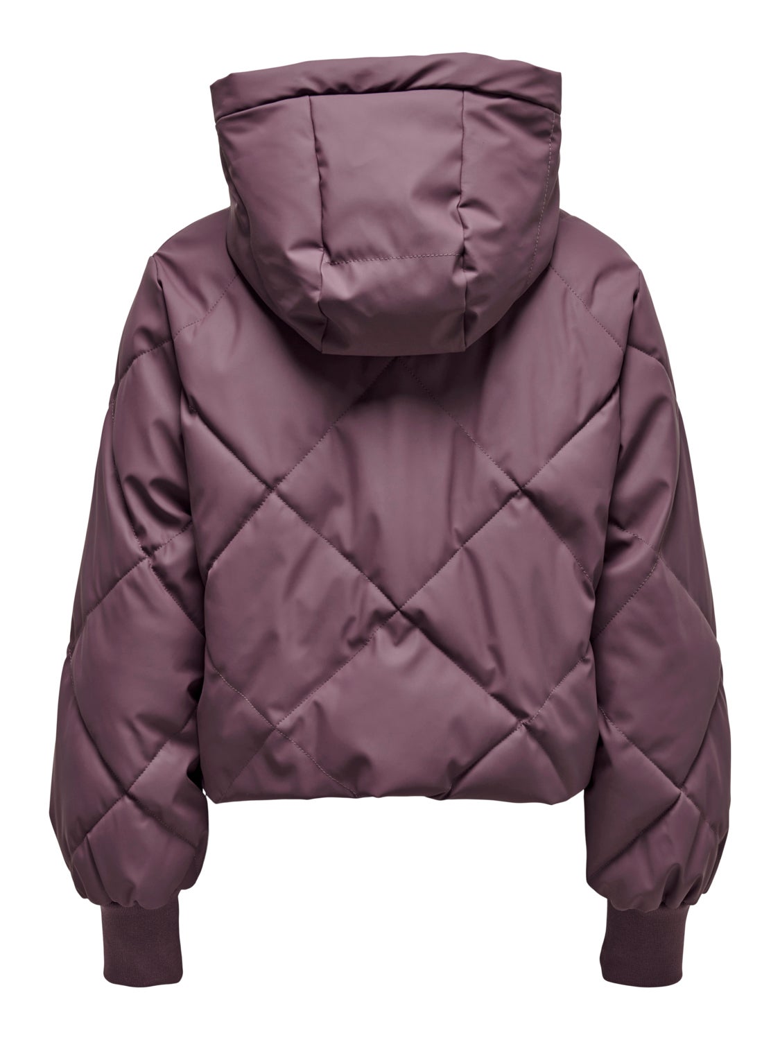 Short water repellent Puffer Jacket