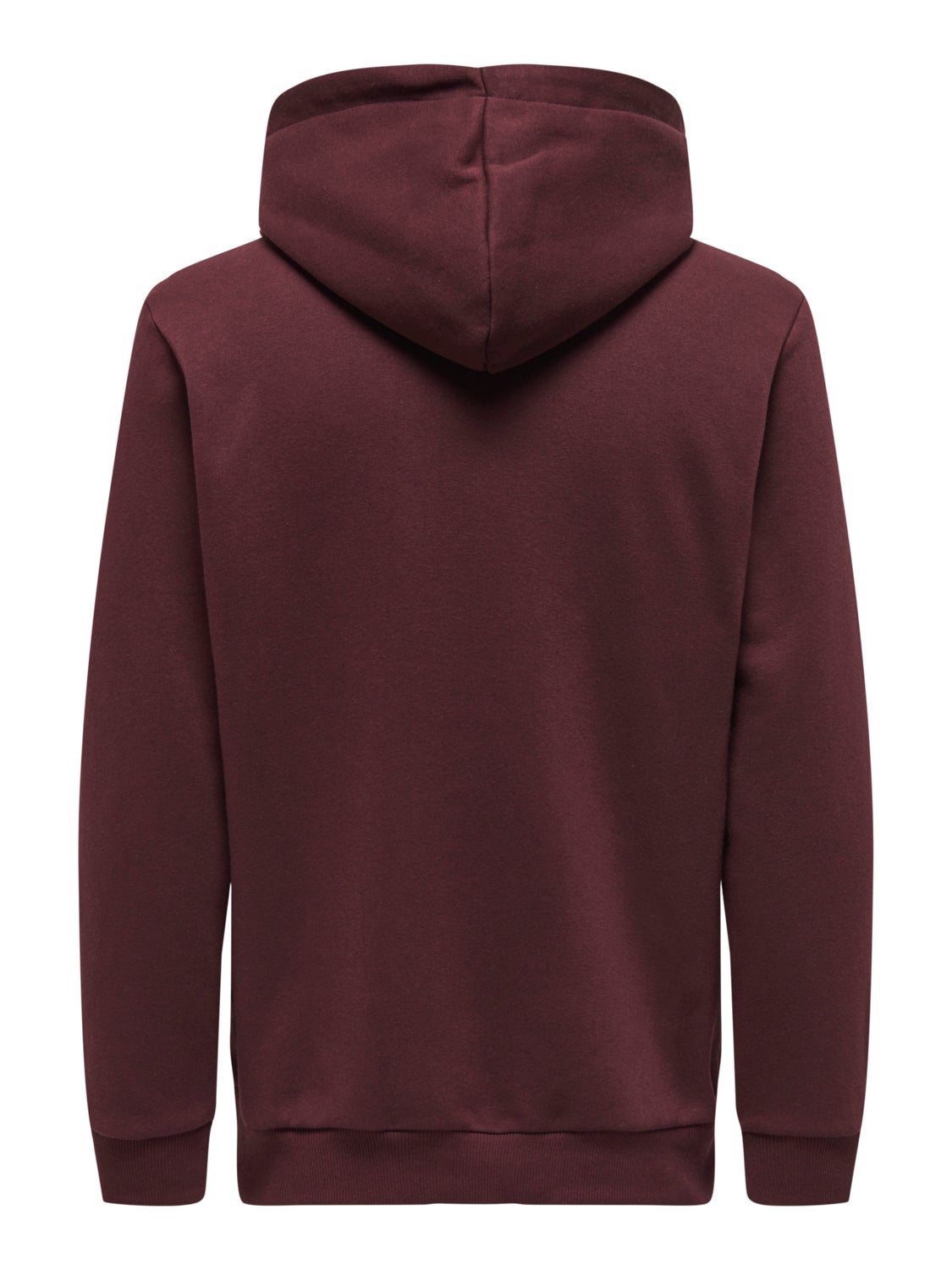 Regular Fit Sweat Hoodie
