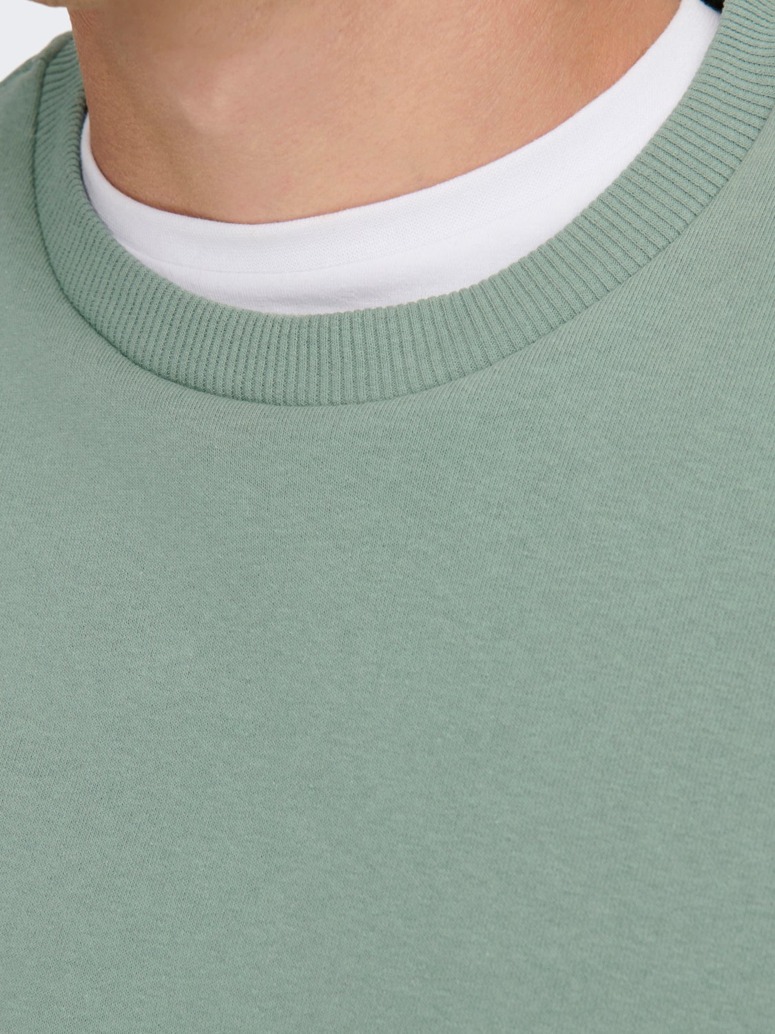 Regular Fit O-Neck Sweatshirt