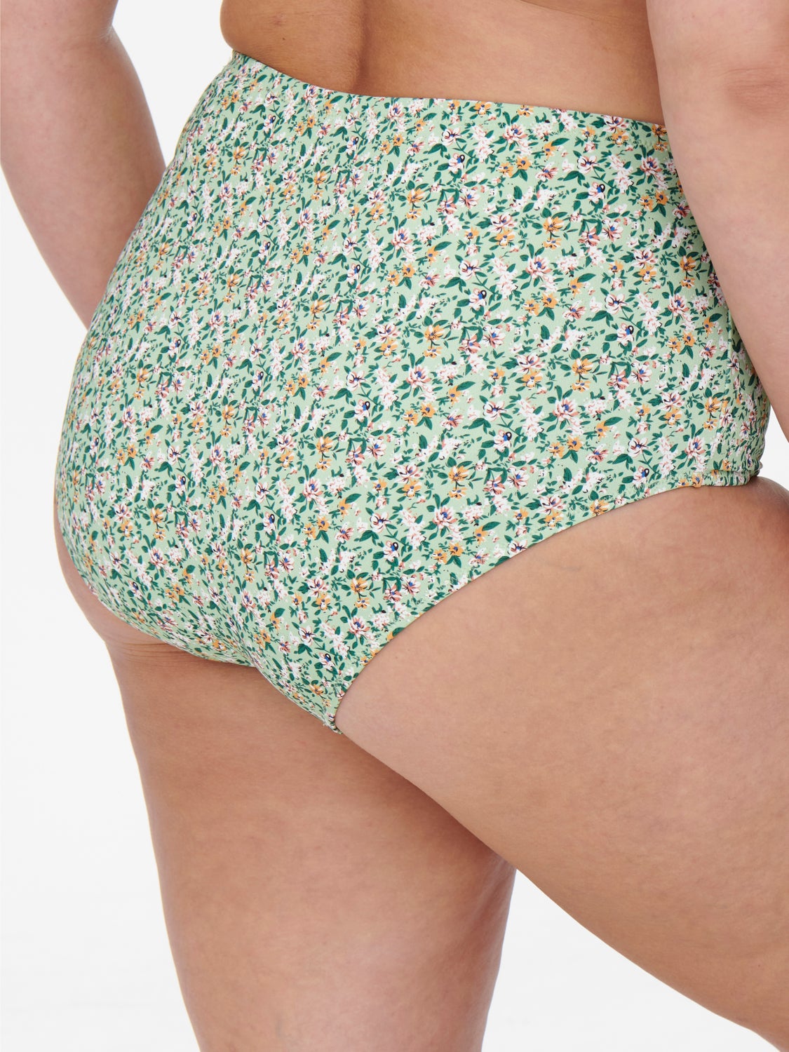 Curvy highwaisted Briefs