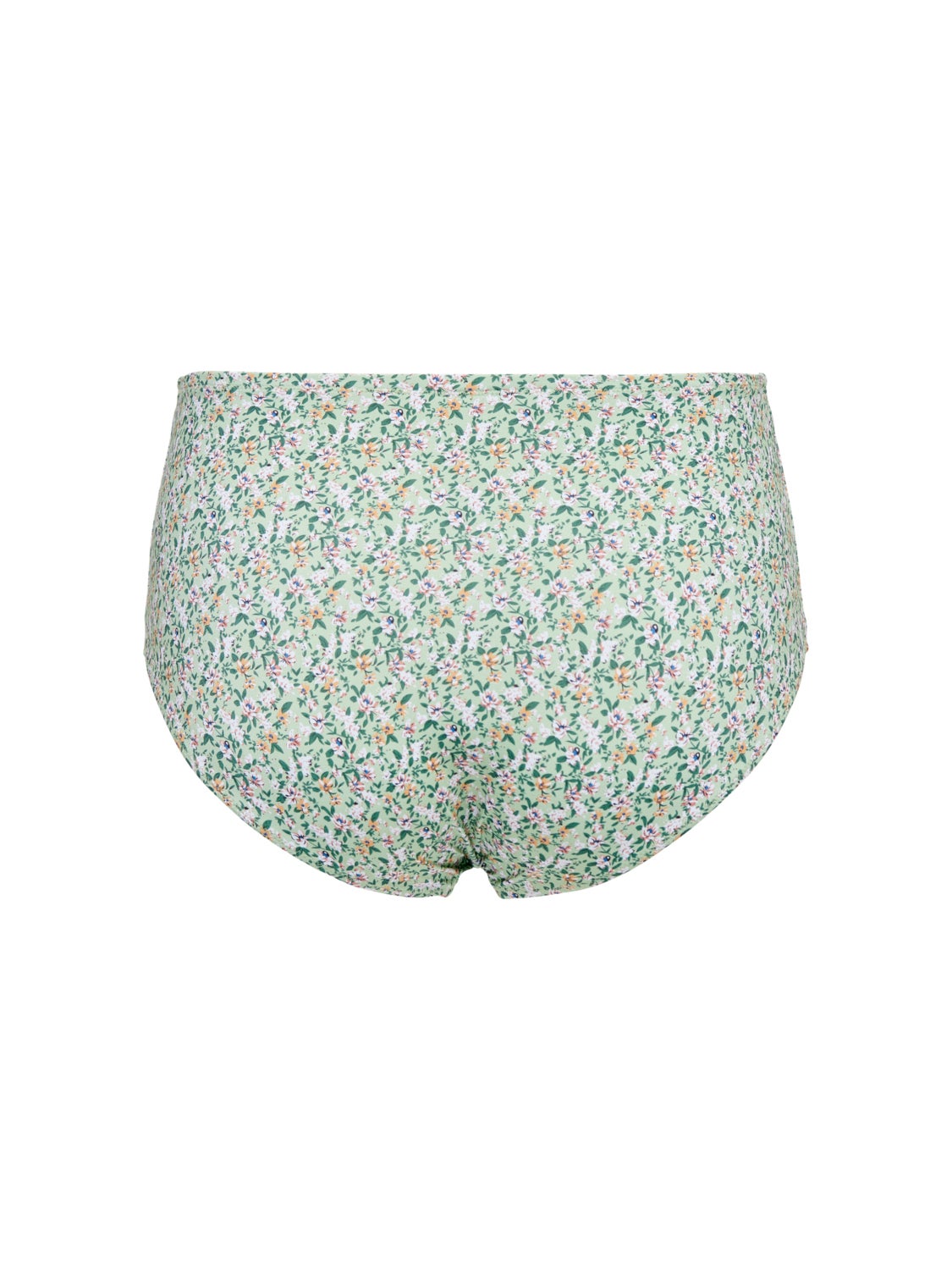 Curvy highwaisted Briefs