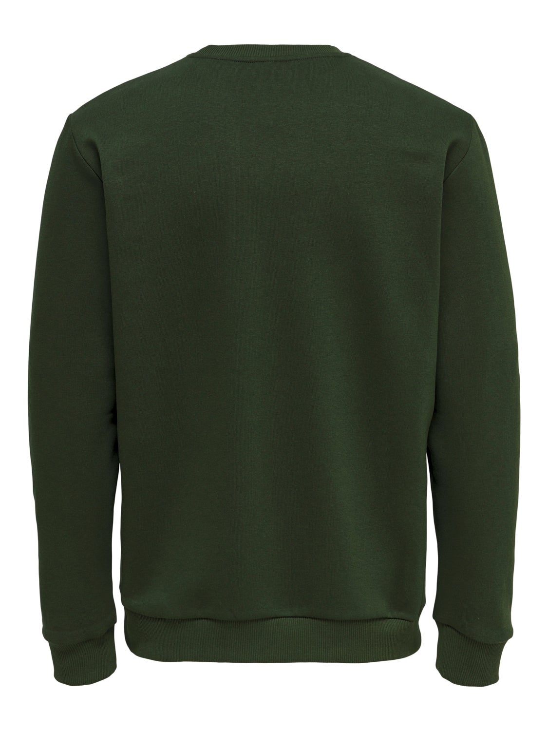 Regular Fit O-Neck Sweatshirt