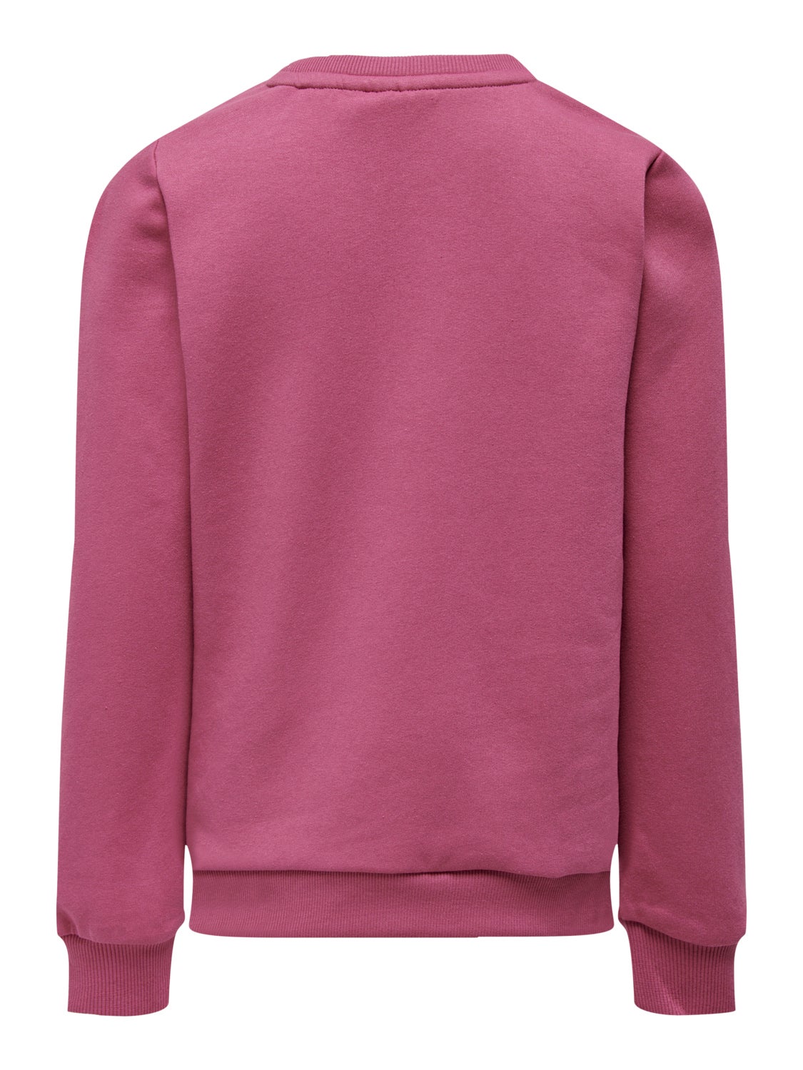 Regular Fit O-Neck Sweatshirt