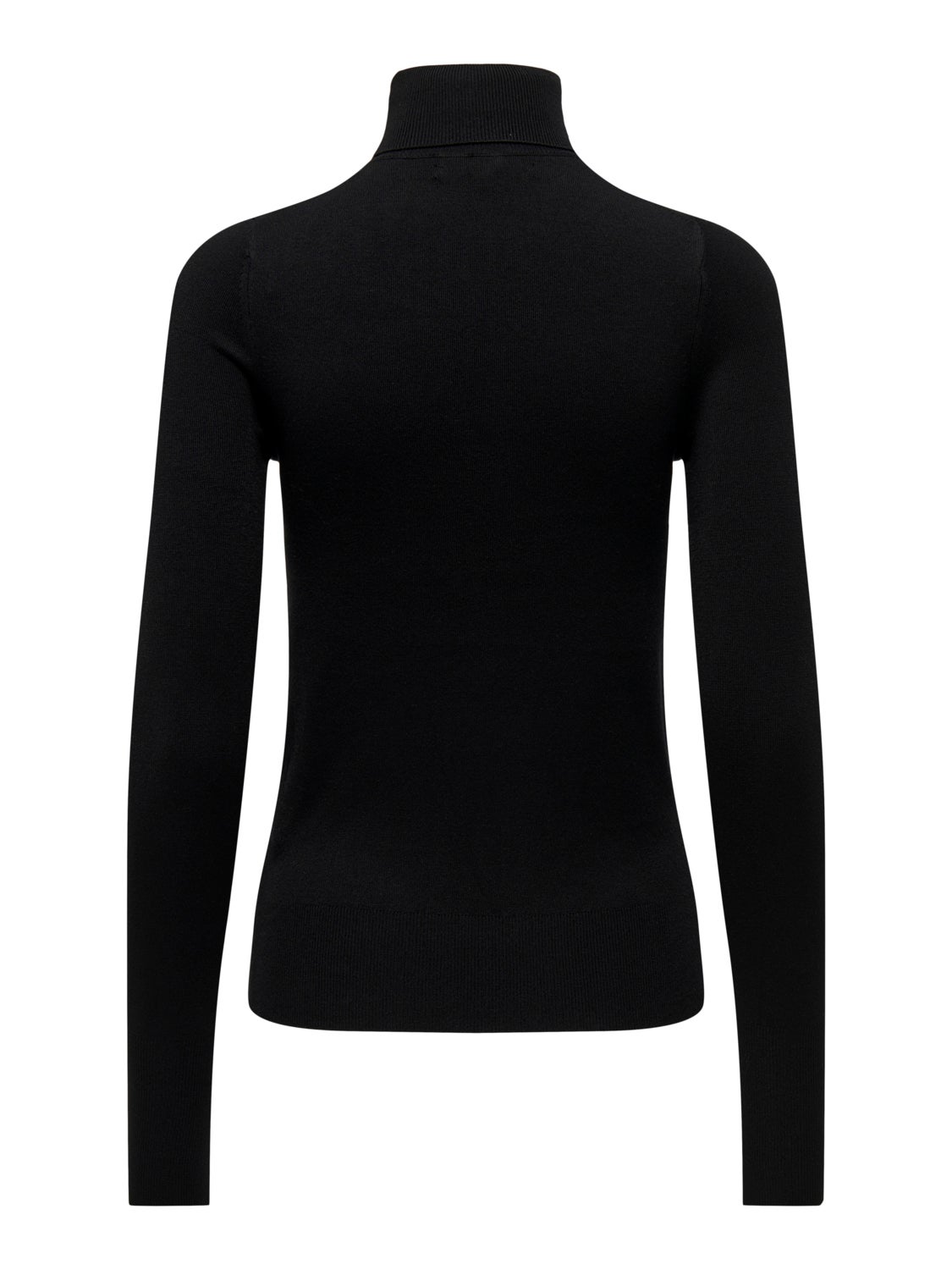 Tall roll neck top