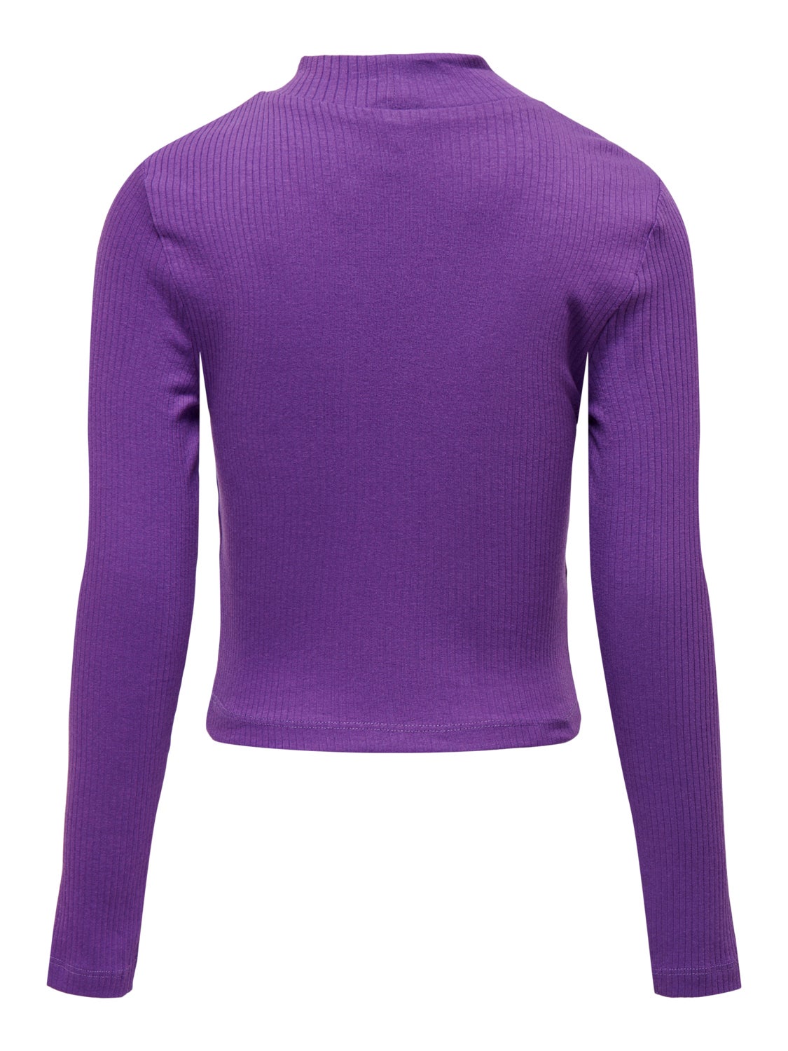 Regular Fit High neck Top