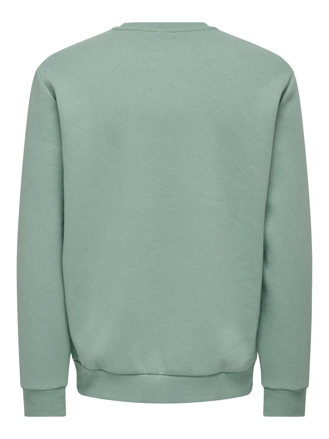 Regular Fit O-Neck Sweatshirt