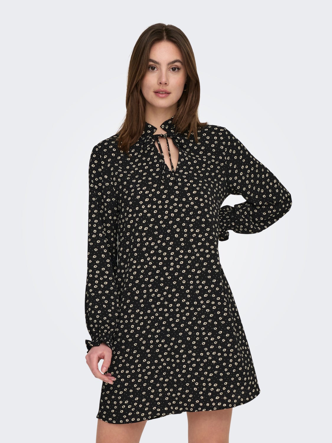 Regular Fit Tied Neck Short dress