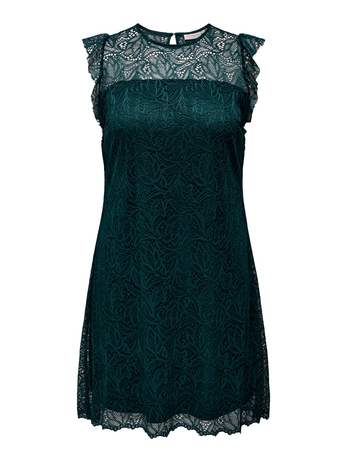 Curvy lace detail dress