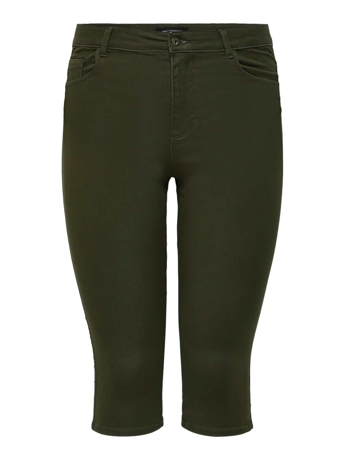 Curvy Highwaisted Denim Knickers