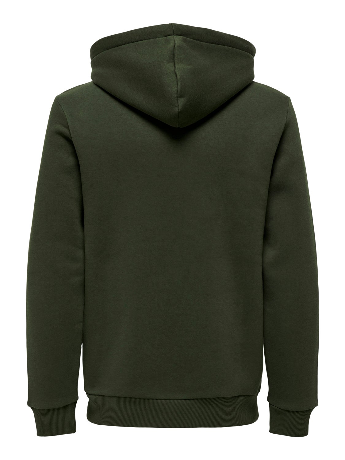 Regular Fit Sweat Hoodie