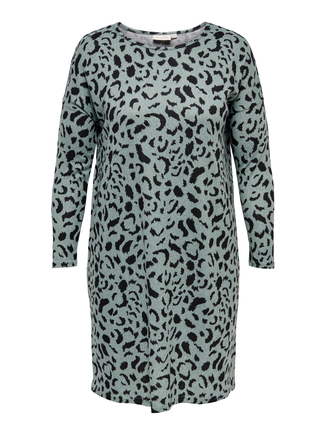 Curvy printed Dress