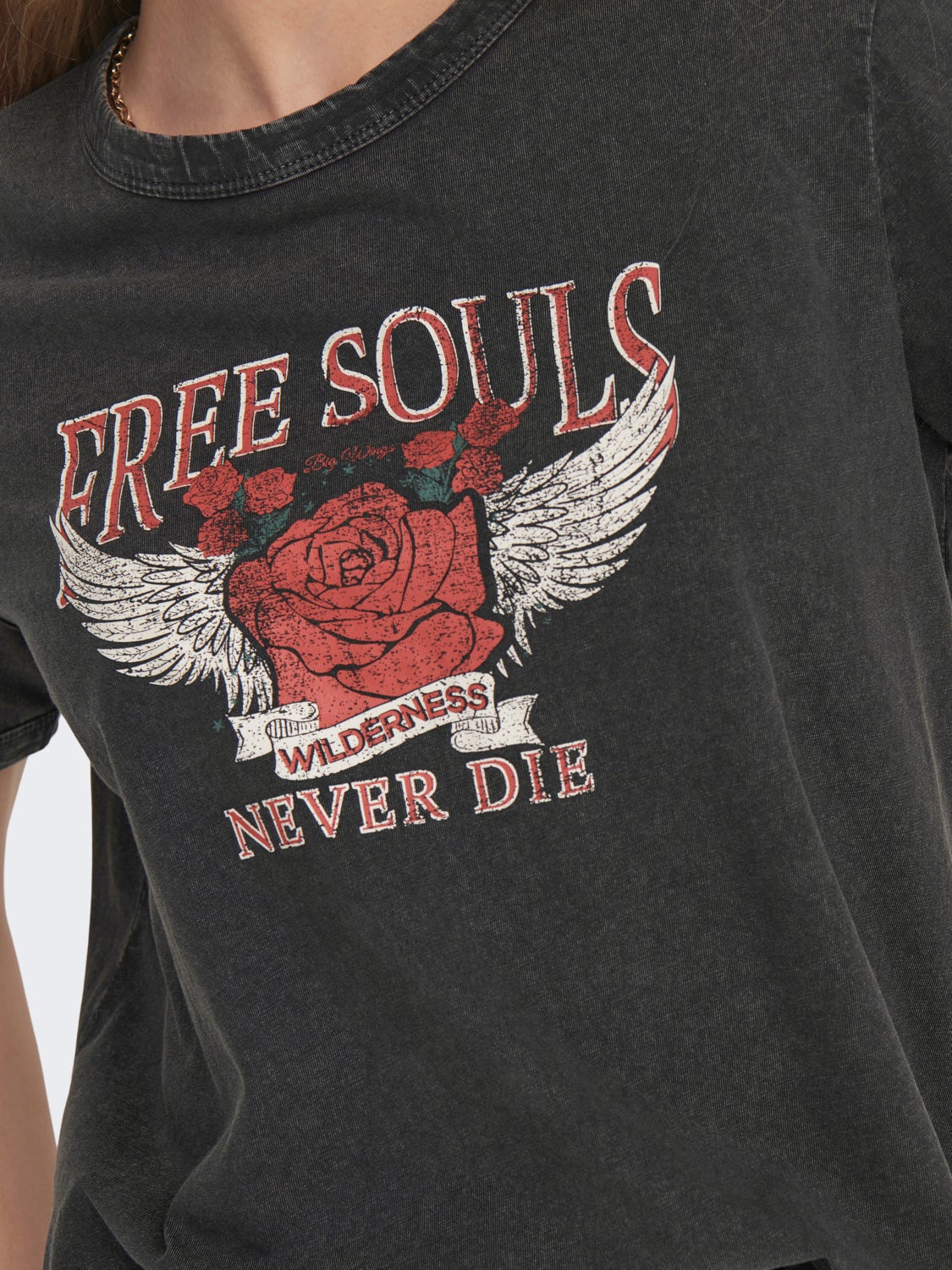 Regular Fit O-Neck T-Shirt