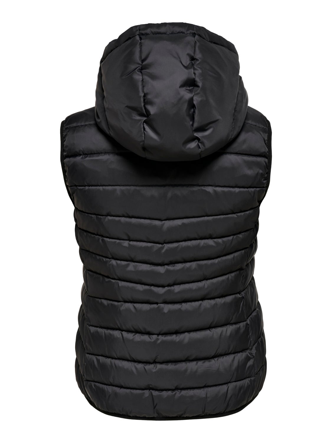 Curvy hood Waistcoat