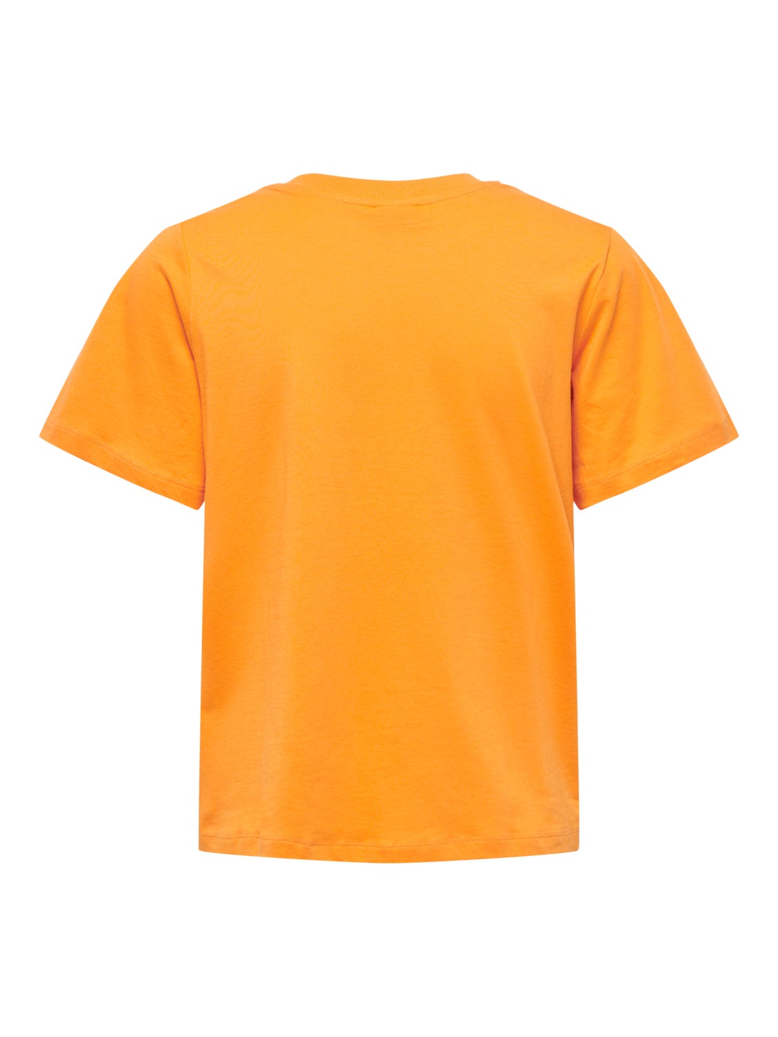 Regular Fit O-Neck T-Shirt