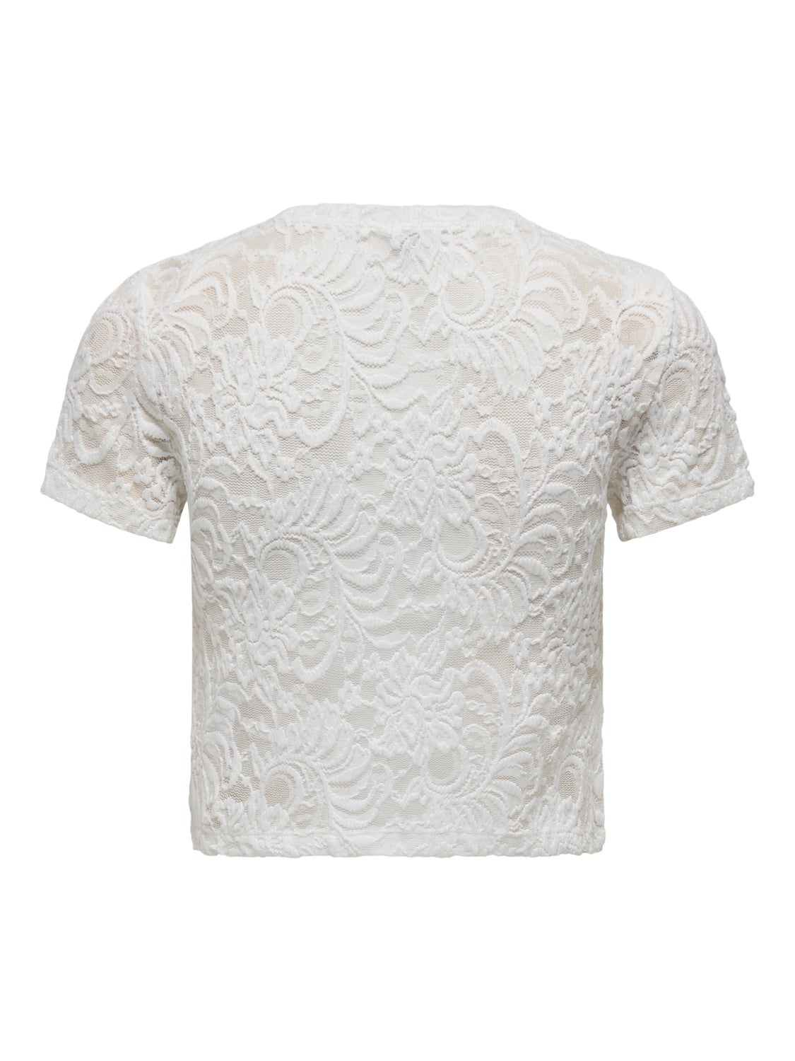 Cropped lace Short Sleeved Top