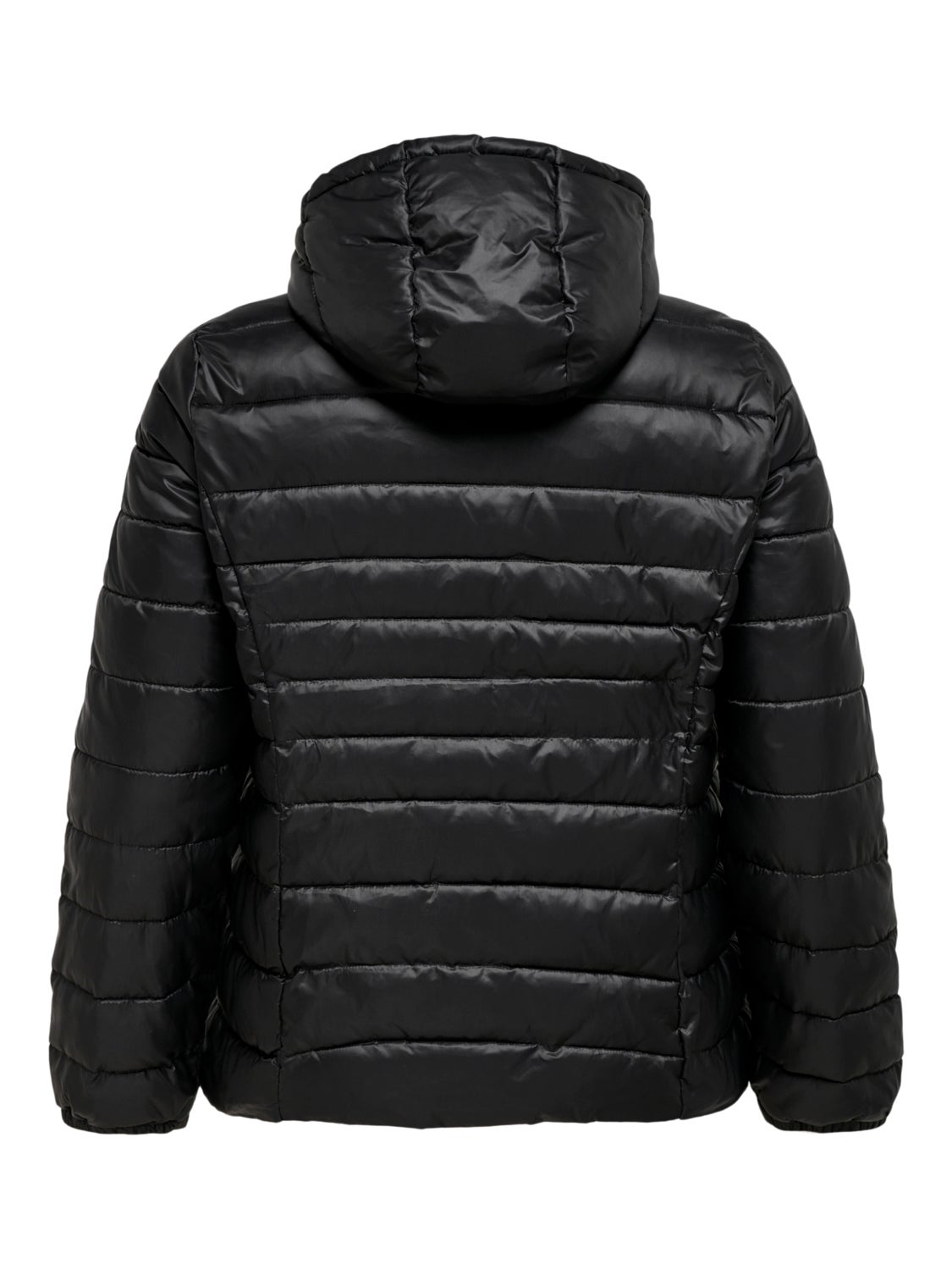 Curvy short Quilted jacket