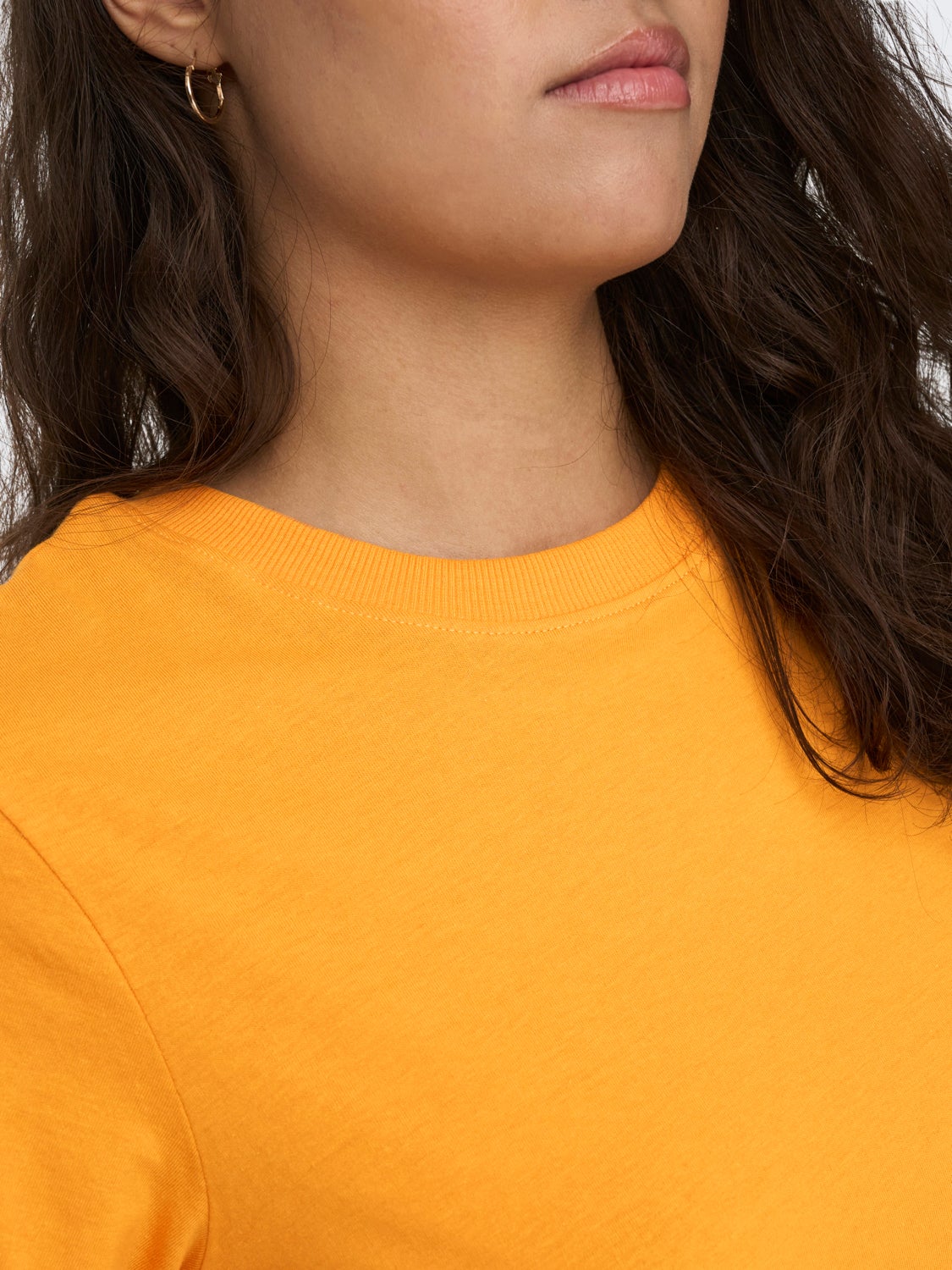 Regular Fit O-Neck T-Shirt