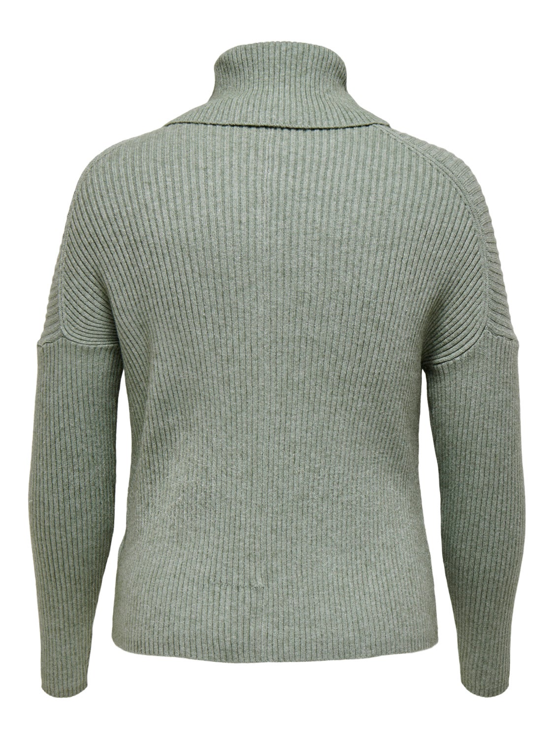 Curvy Roll neck Pullover