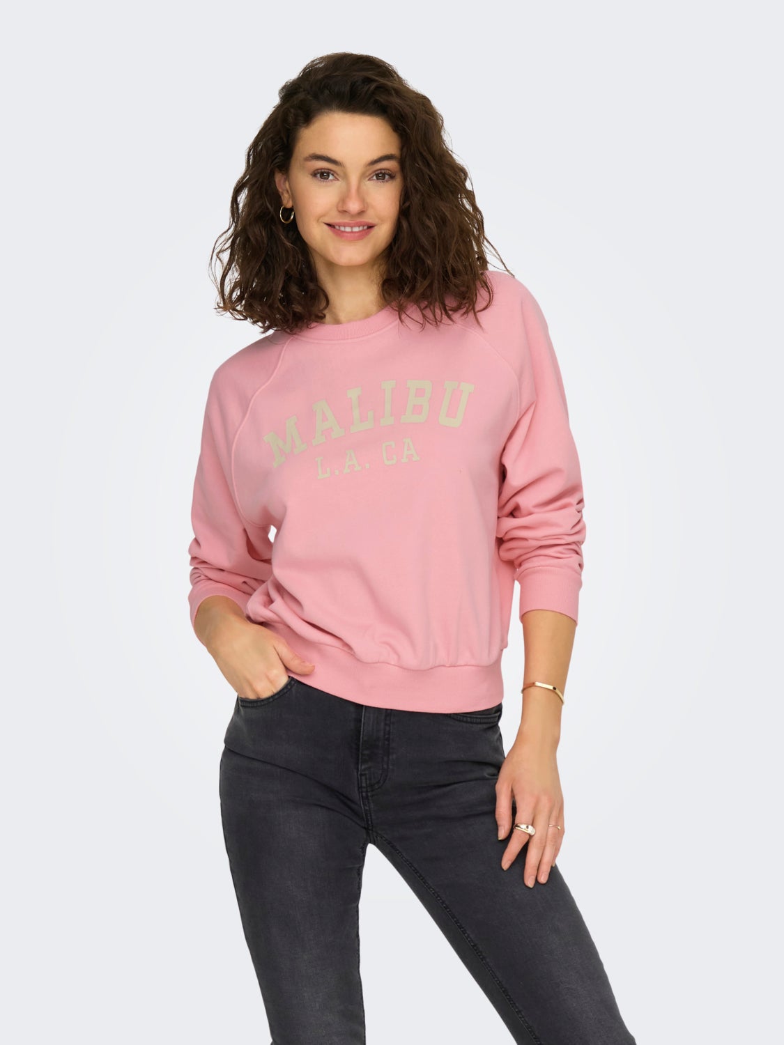Regular Fit O-Neck Sweatshirt
