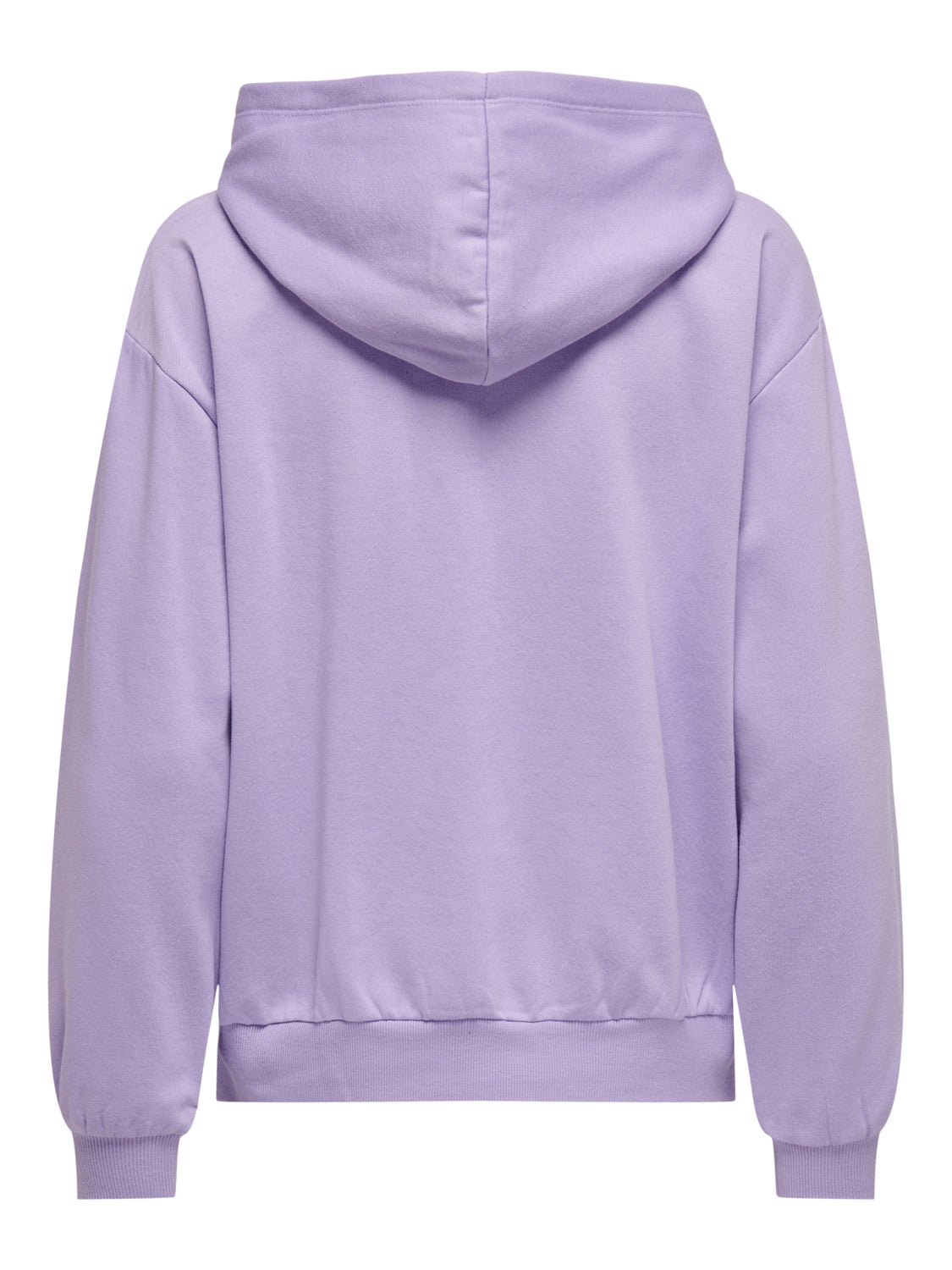 Hoodie sweatshirt