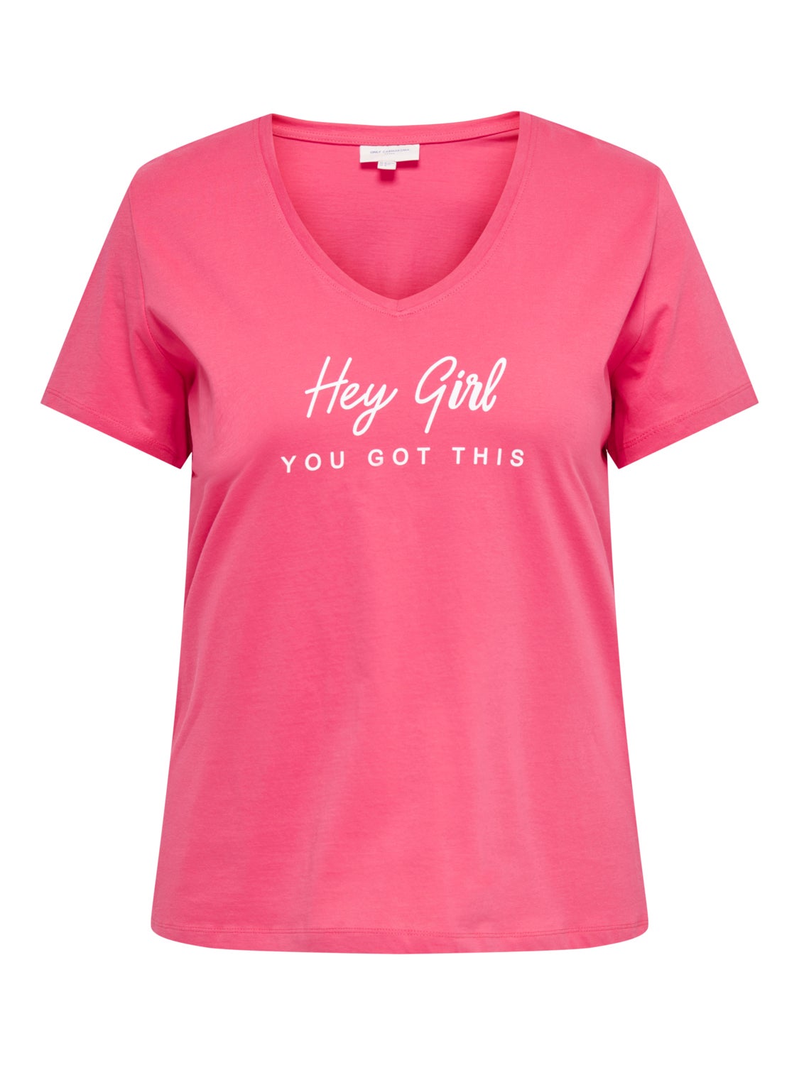 Regular Fit V-Neck T-Shirt