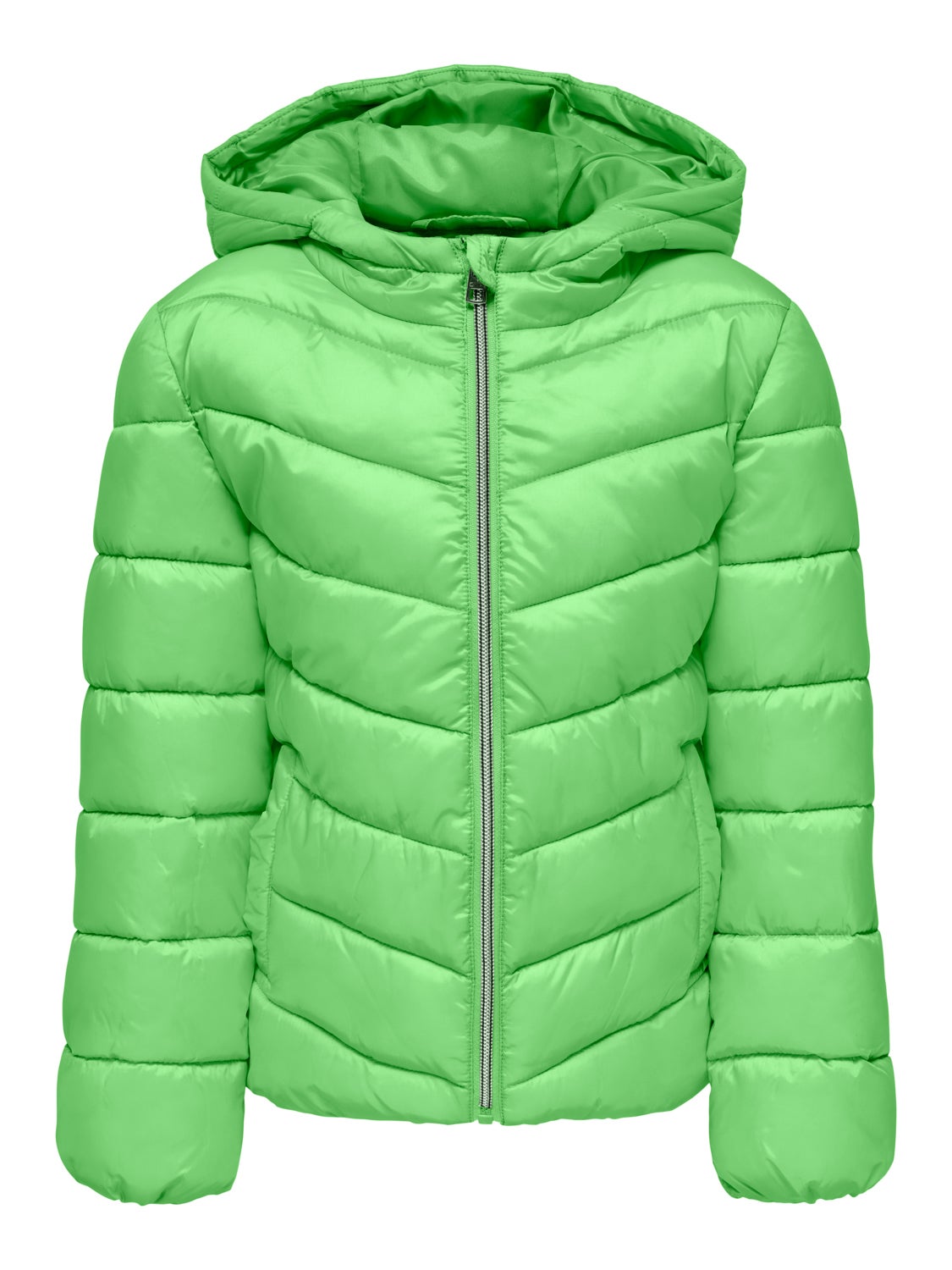 Quilted Jacket with Hood