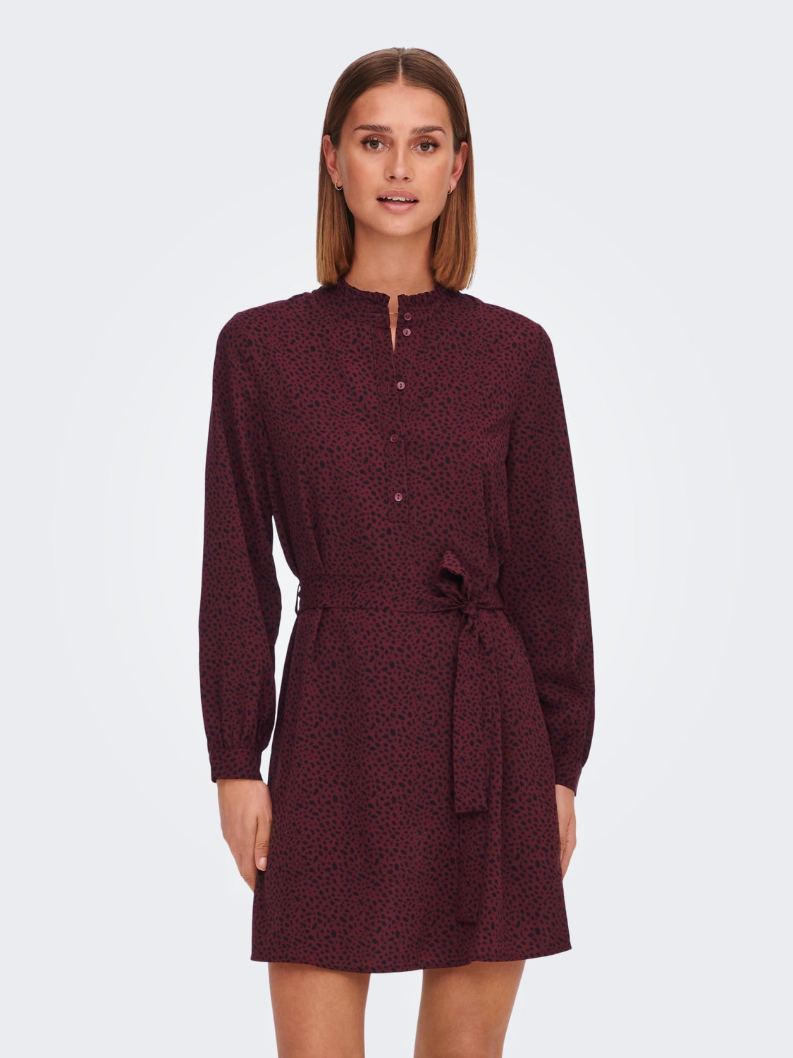 Long sleeve Dress