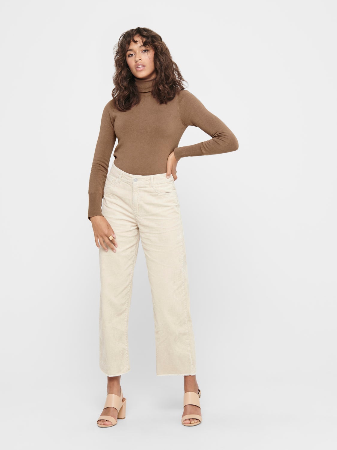 Rollneck Knitted Pullover