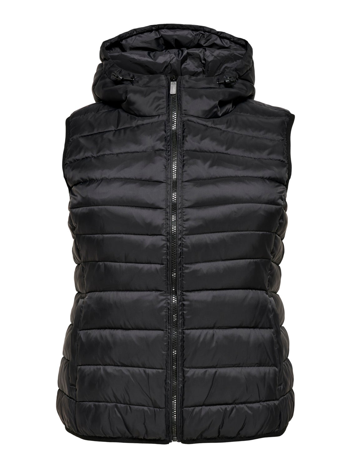 Curvy hood Waistcoat