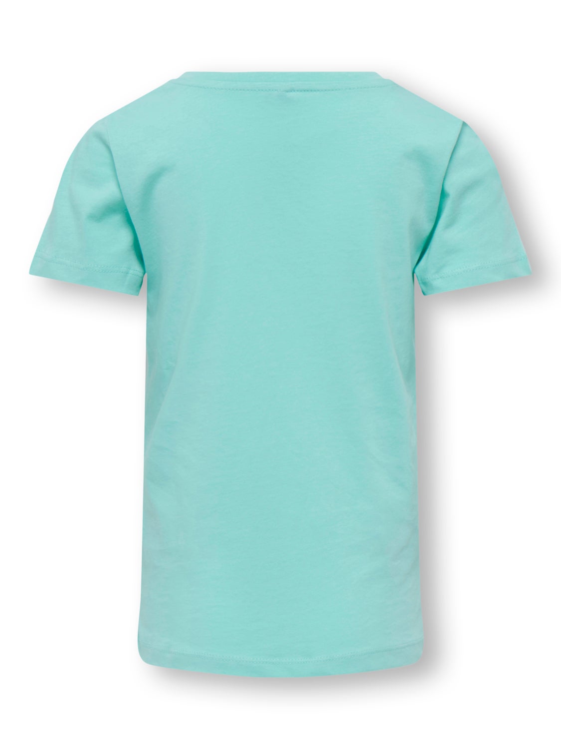 Regular Fit O-Neck T-Shirt