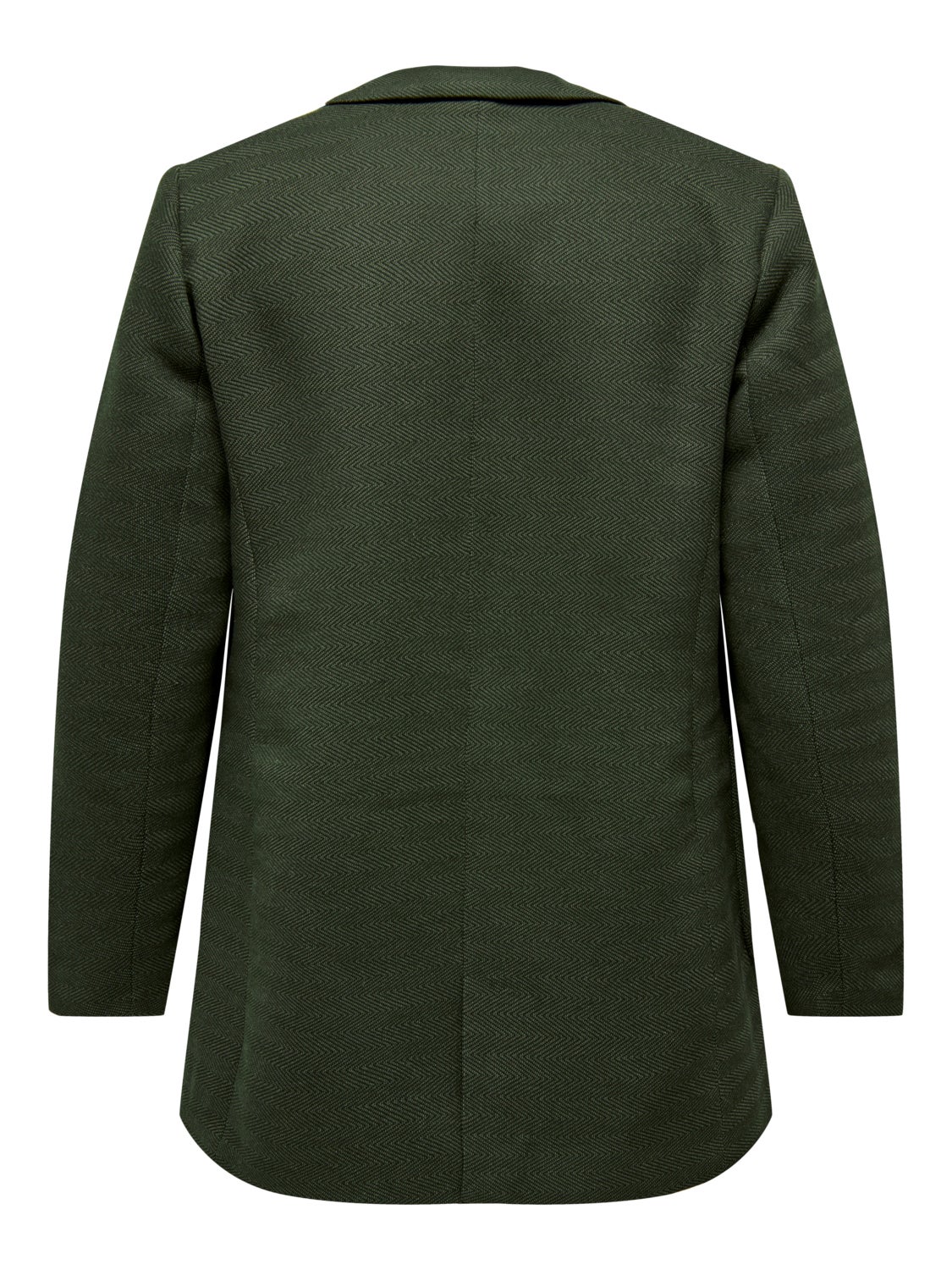 Curvy classic blazer