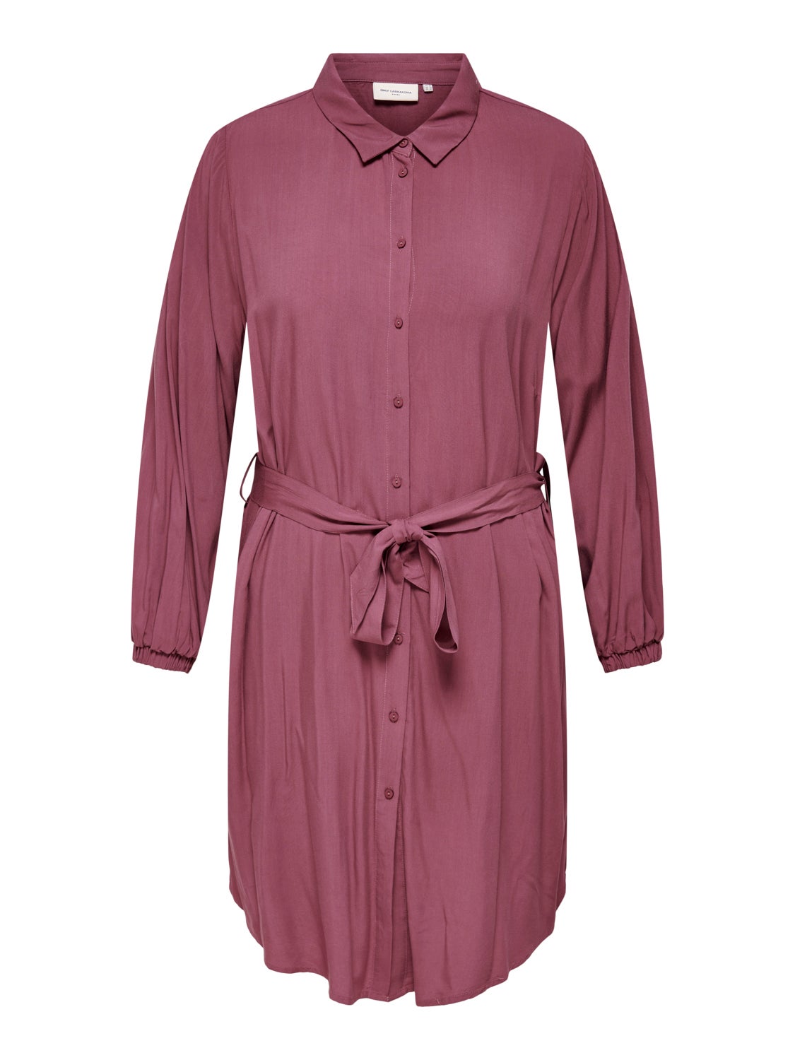Curvy Shirt dress