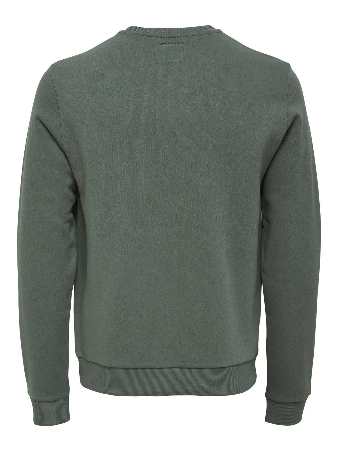 Regular Fit O-Neck Sweatshirt