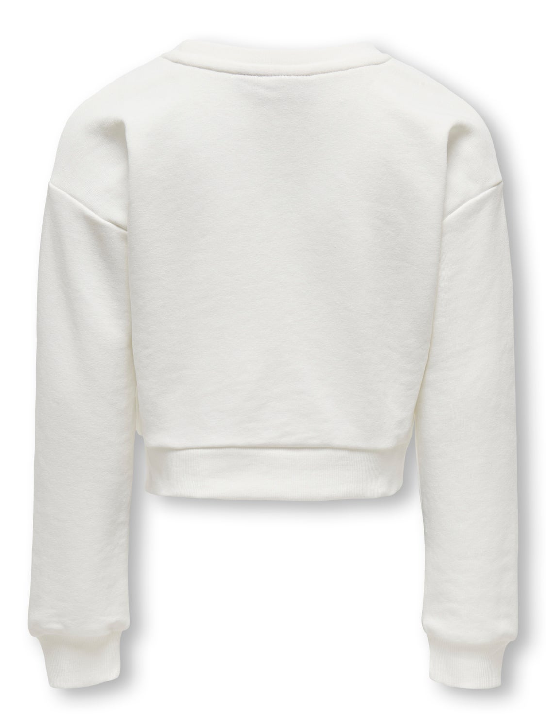 Regular Fit O-Neck Sweatshirt