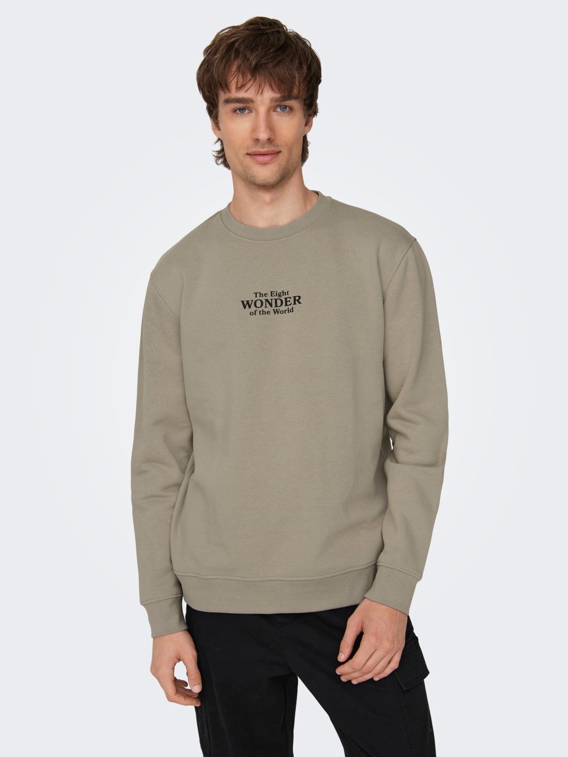 Regular Fit Crew neck Sweatshirt