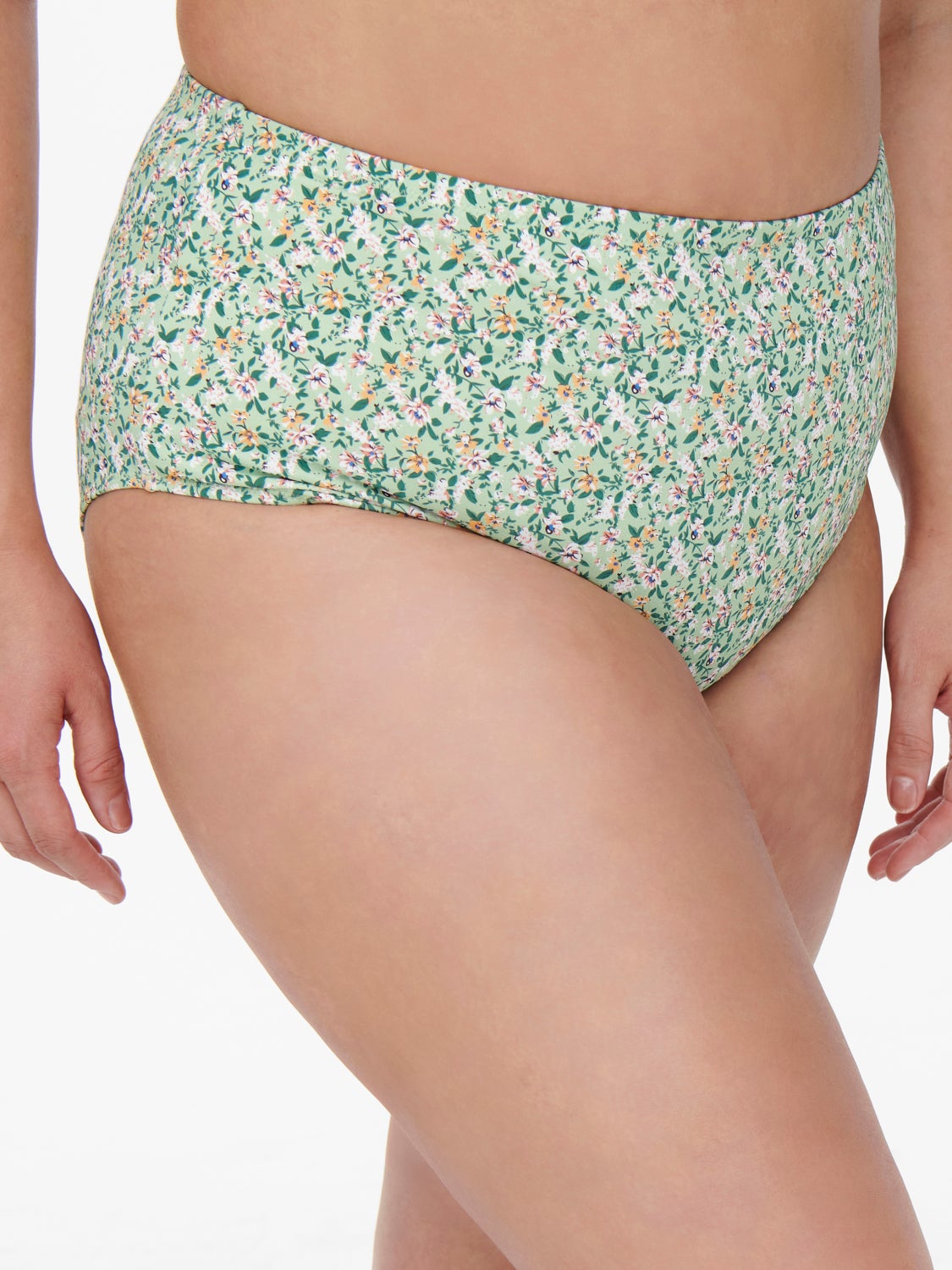 Curvy highwaisted Briefs