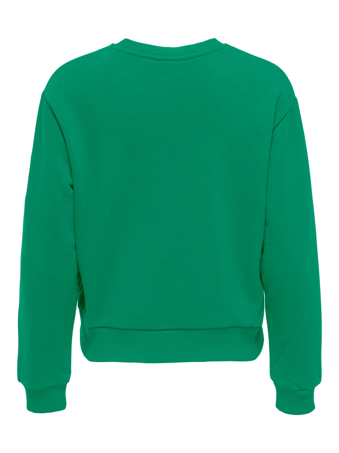 Long sleeved Sweatshirt