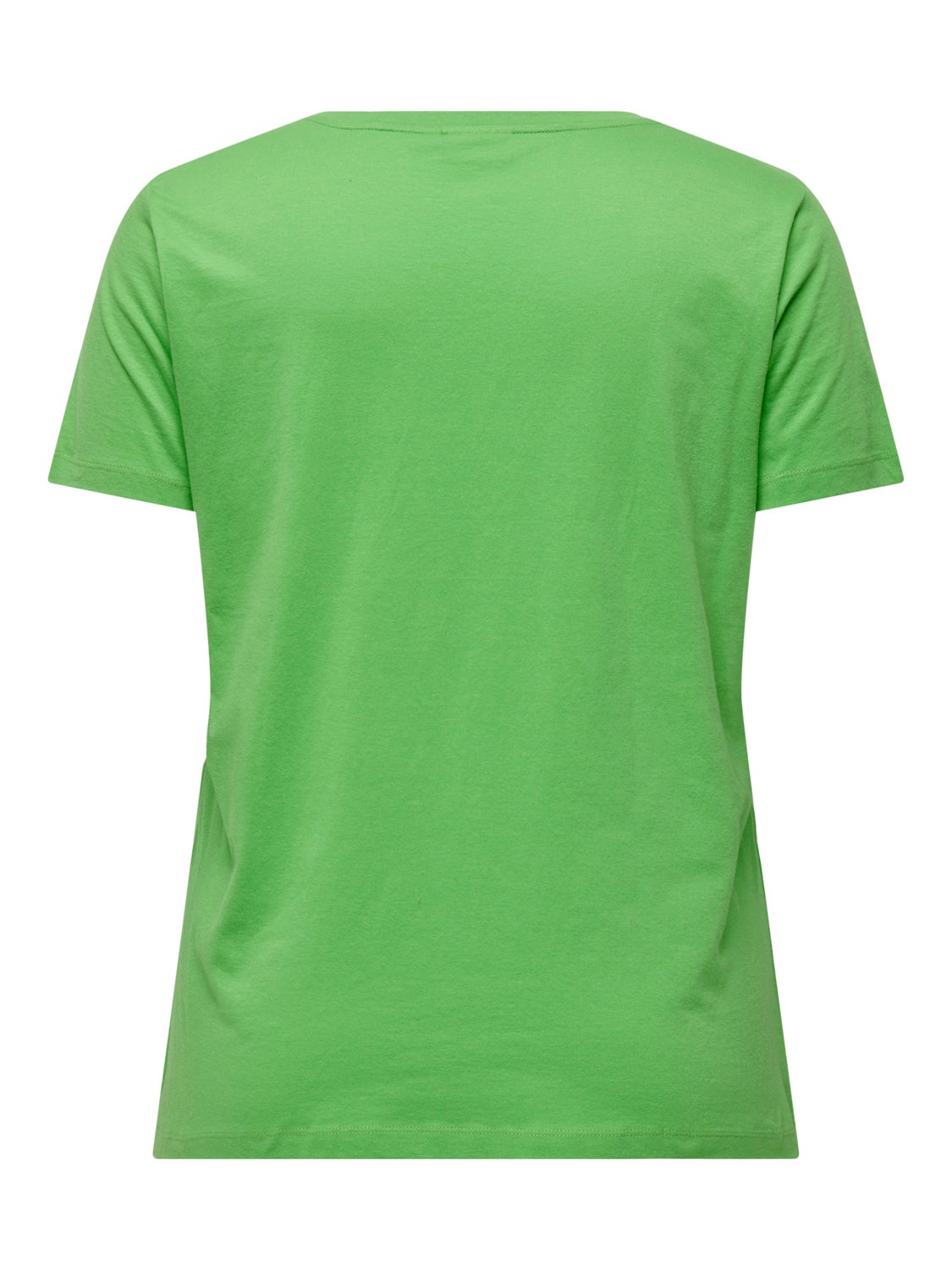 Regular Fit V-Neck T-Shirt