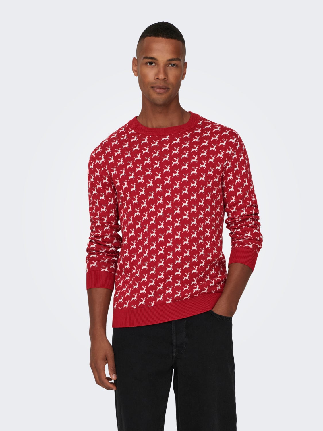 Crewneck christmas knitted pullover